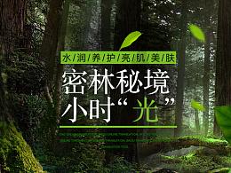 小猫钓鱼正版下载中文版