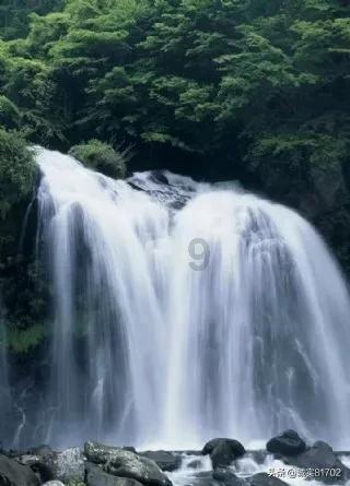 送什么礼物代表友谊?|连接有趣灵魂的知识星球
