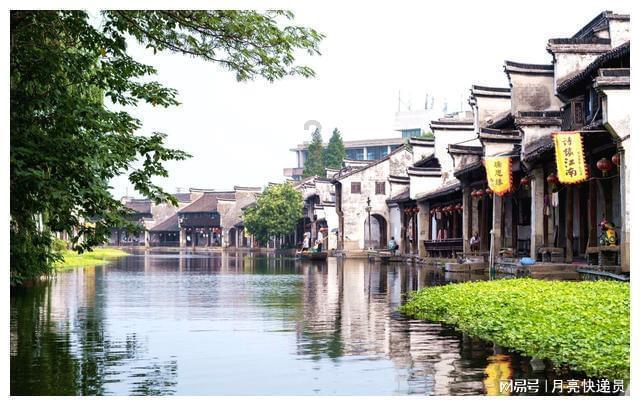 探索世界的奇妙之旅,尽在植物营养液怎么做蜗牛问答平台!